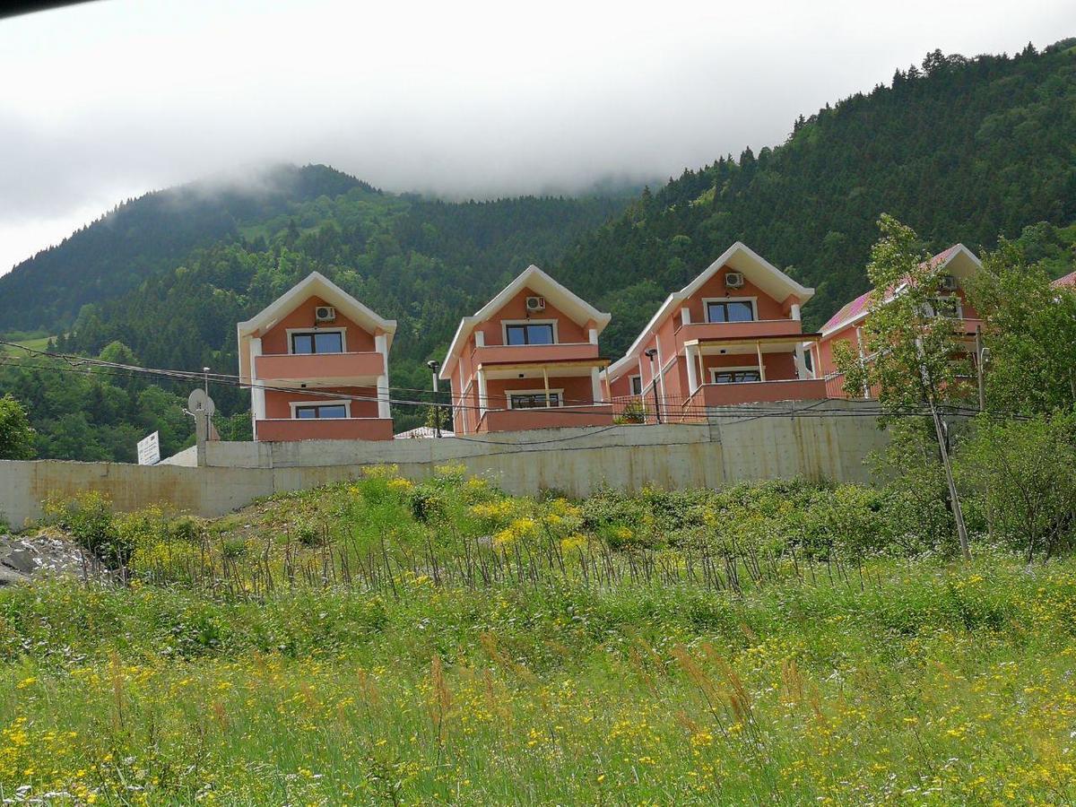 Hamsikoy Hotel Εξωτερικό φωτογραφία